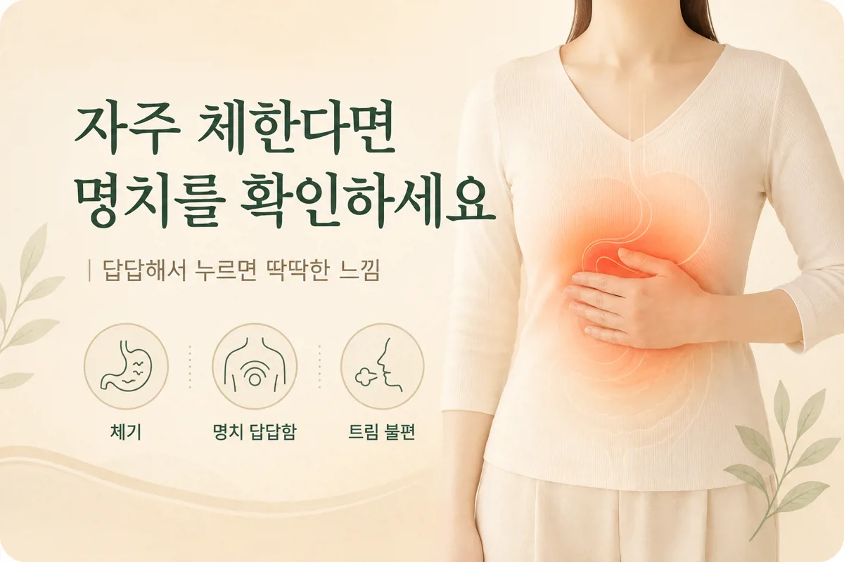 자주 체하는 사람은 왜 명치부터 막힐까요?